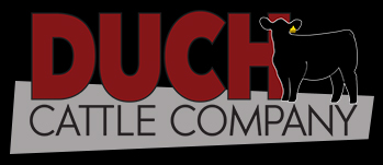 Duch Cattle Company
