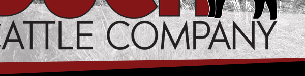 Duch Cattle Company