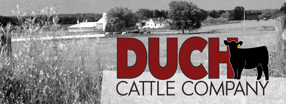 Duch Cattle Company